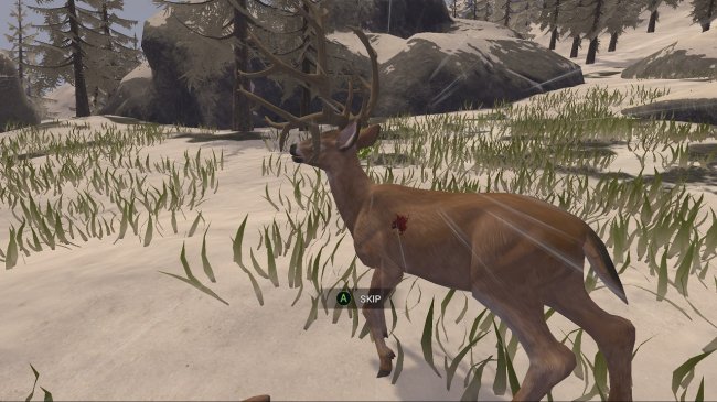 Deer Hunter: Reloaded (2017) PC | Лицензия