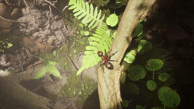 Empire of the Ants Empire of the Ants