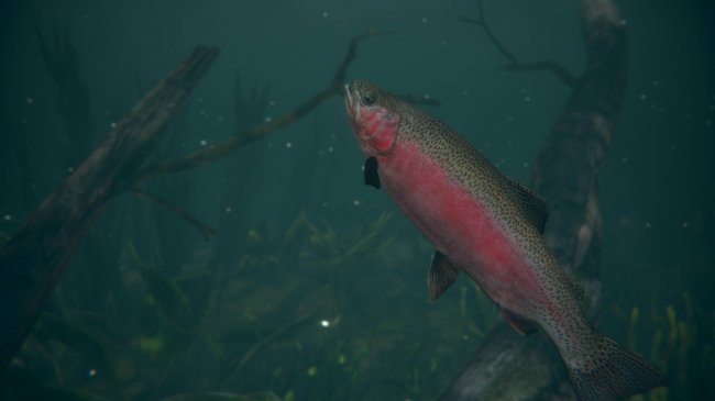 Ultimate Fishing Simulator 2 Ultimate Fishing Simulator 2