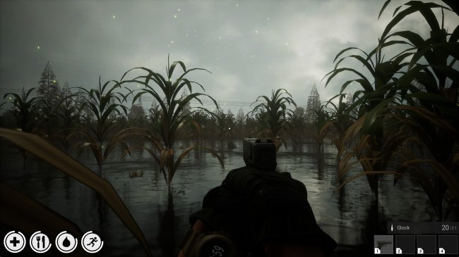 Ashes of Ambition Ashes of Ambition